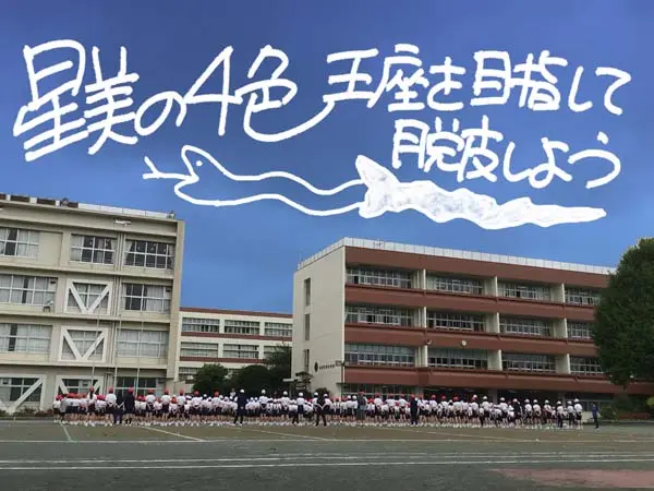 運動会の練習がはじまりました