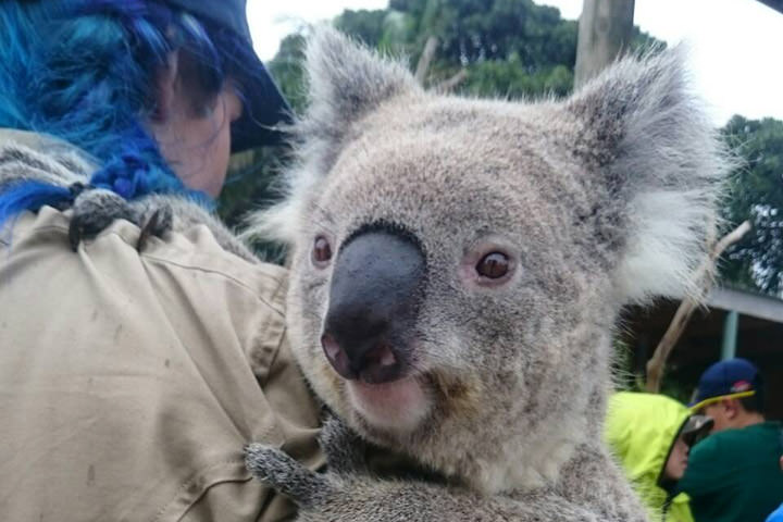 オーストラリア･ホームステイ